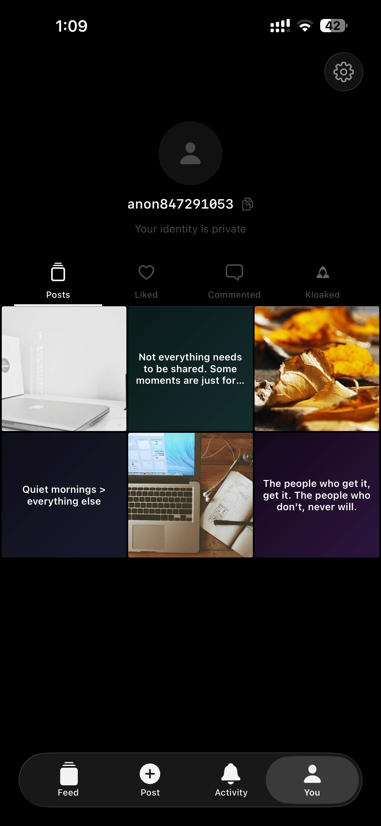 Anonymous profile screen showing post history